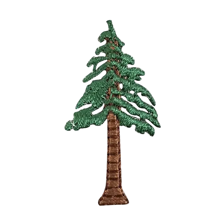 Tiny Evergreen Tree Patch